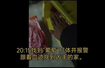 猩猩扔水瓶砸伤游客账号,动物园称猩猩砸伤游客系正当防卫