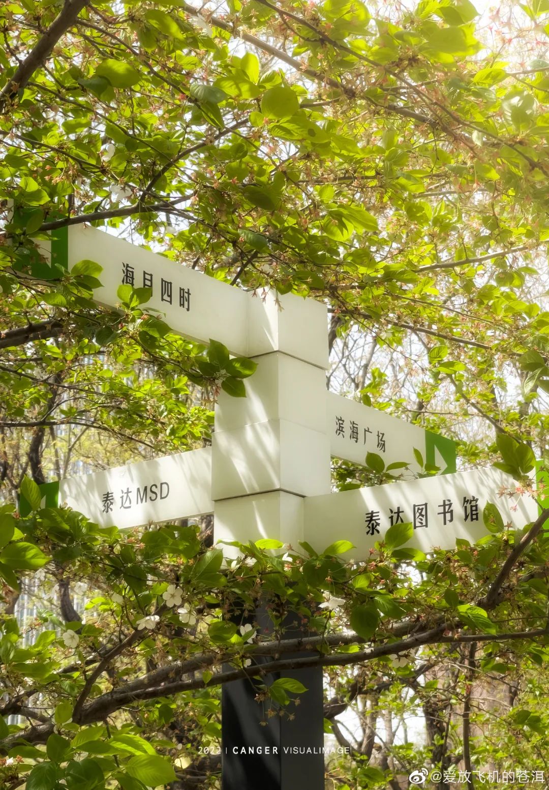 天津遛娃好地方,天津遛娃的免费公园