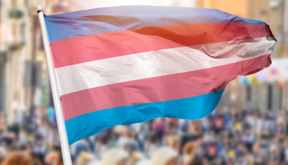 美国跨性别选手*力暴**扣杀，女排球员用脸接球导致脑震荡两周