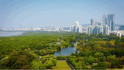 深圳福田免费公园排名前十名,福田中心公园游玩攻略