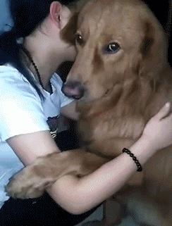 “是小蛇出了轨，还是青蛙劈了腿？”这是现实版的美杜莎？哈哈