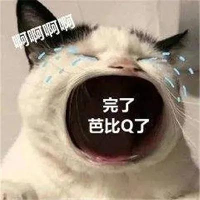 盘点那些2021年的网络热梗,回顾2021年网络热梗