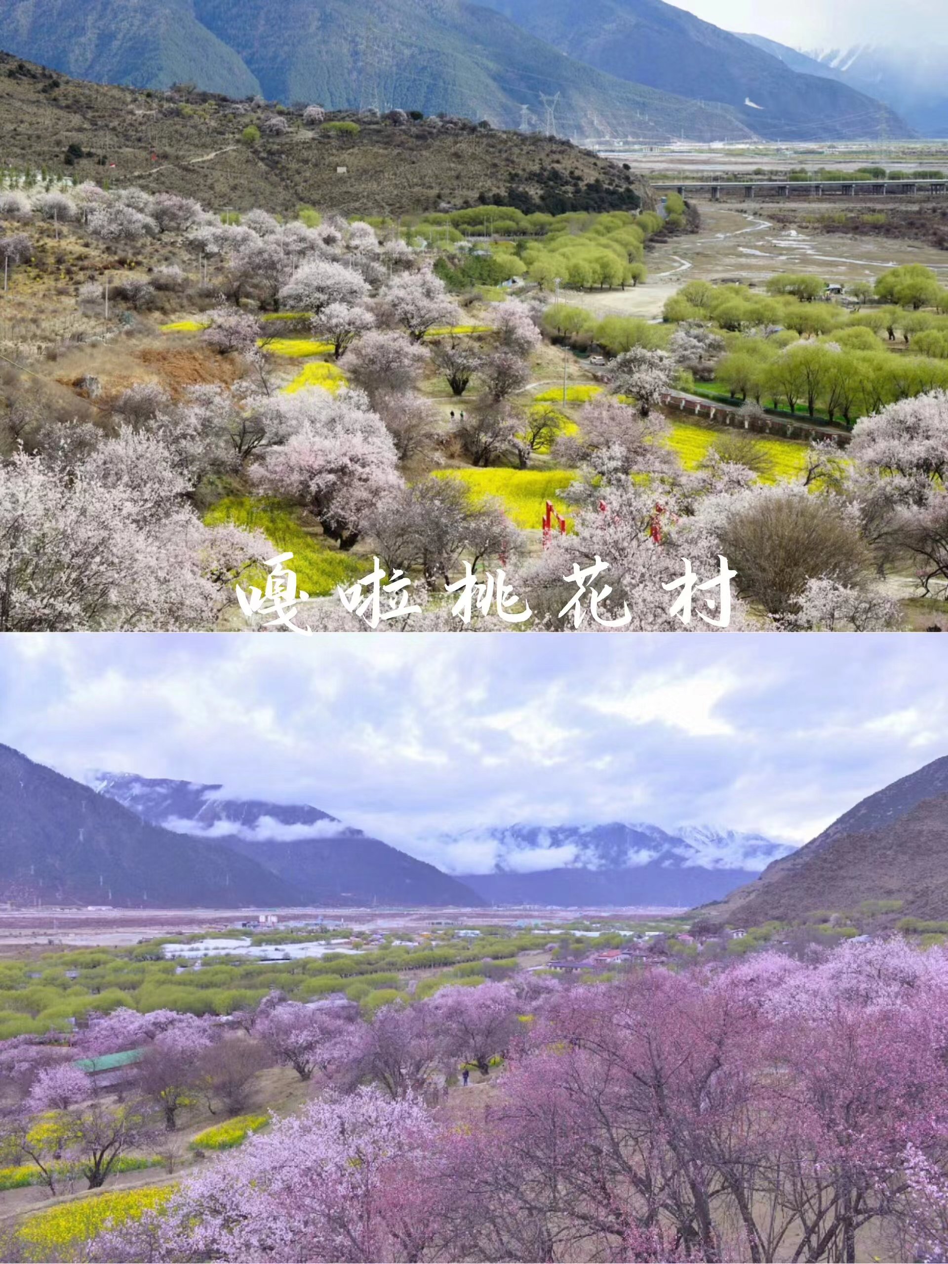 藏西跟团游,西藏藏客旅行社怎么样