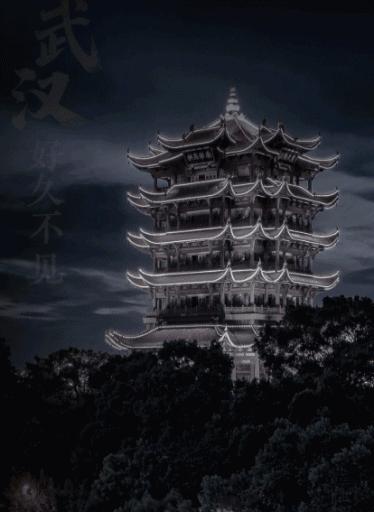 真有人看公众号么,还有多少人看公众号