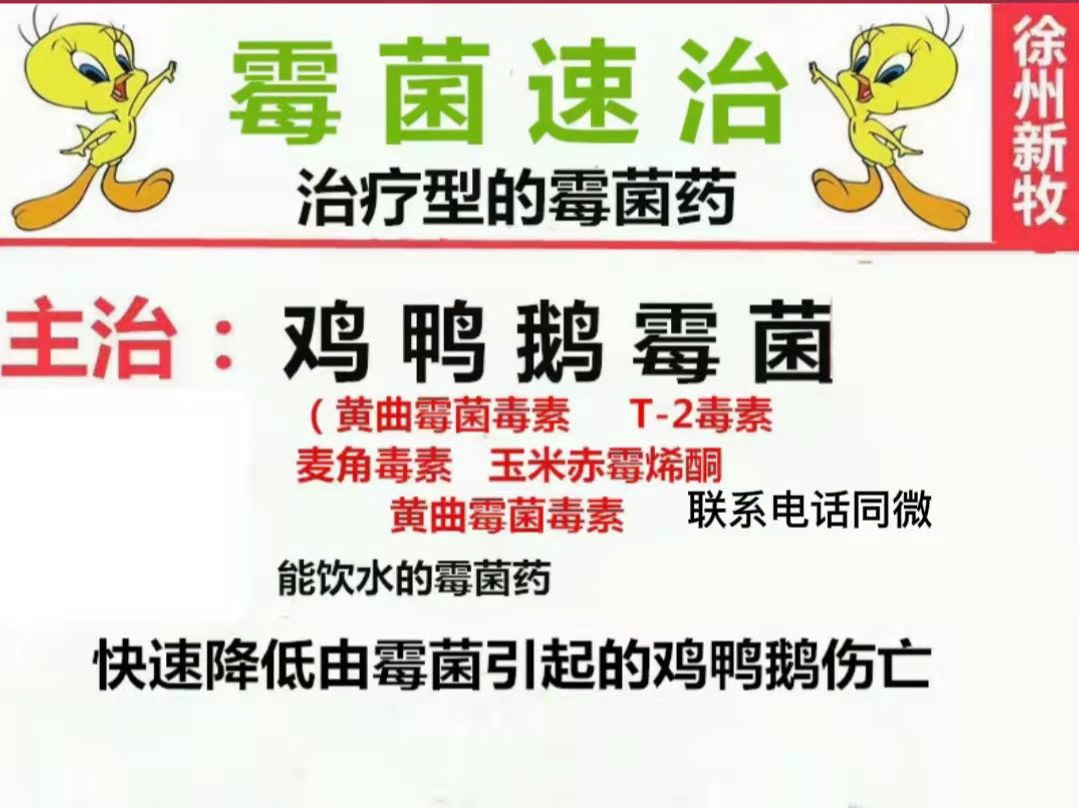 鸡霉菌性肠炎的症状,鸡霉菌性肠炎用什么药治疗