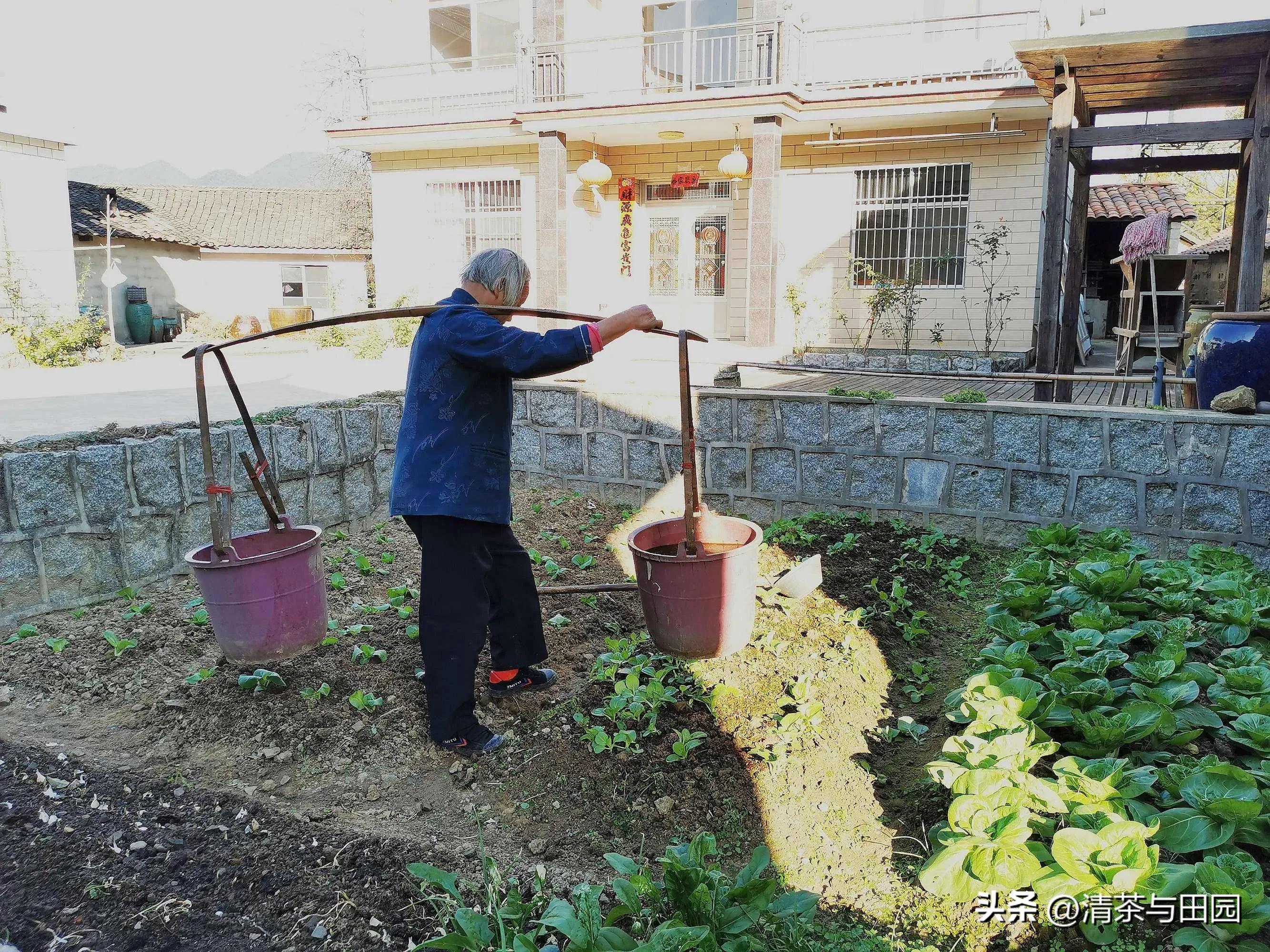 精明了一辈子的三德叔,死后儿子没回来,邻居也不愿意去他家帮忙