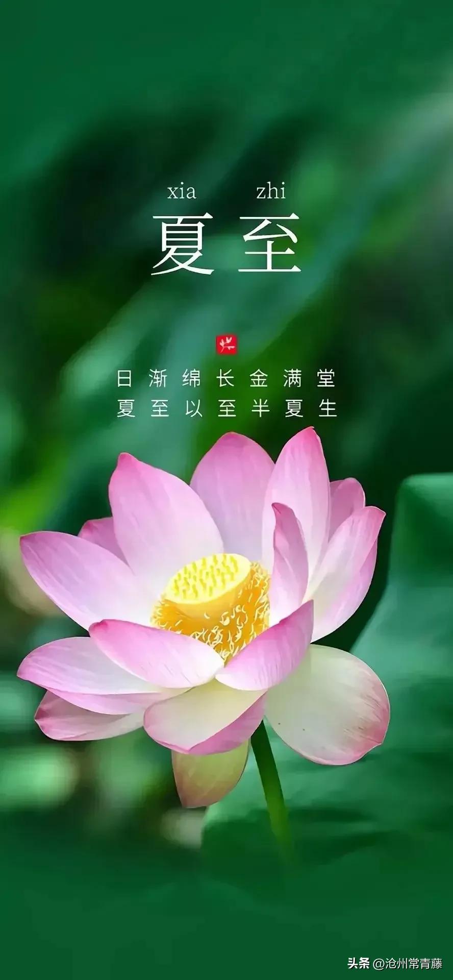 夏至节气感慨,今日夏至话题