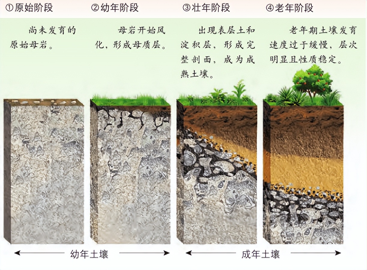 是谁在砸中国人的饭碗？400年才形成的黑土，4元一斤在网上被盗卖