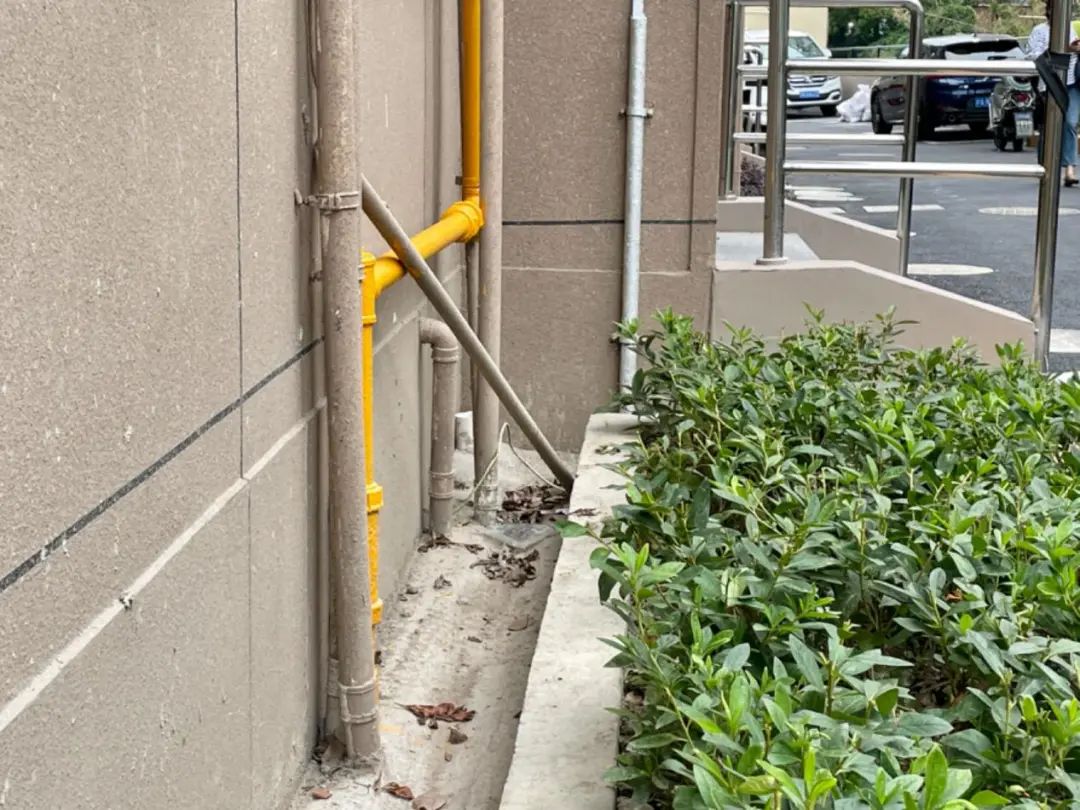 老小区的美景,老小区改造成果赢得居民点赞