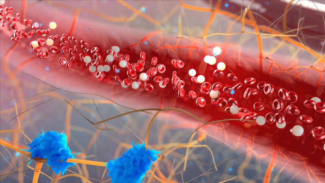 经常胸前肌肉痛,胸前有疼痛感是什么原因