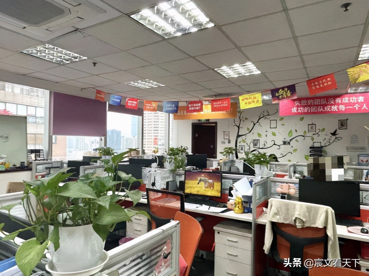 遭记者*底卧**揭秘“红娘”后，世纪佳缘的道歉，却有混淆视听的嫌疑