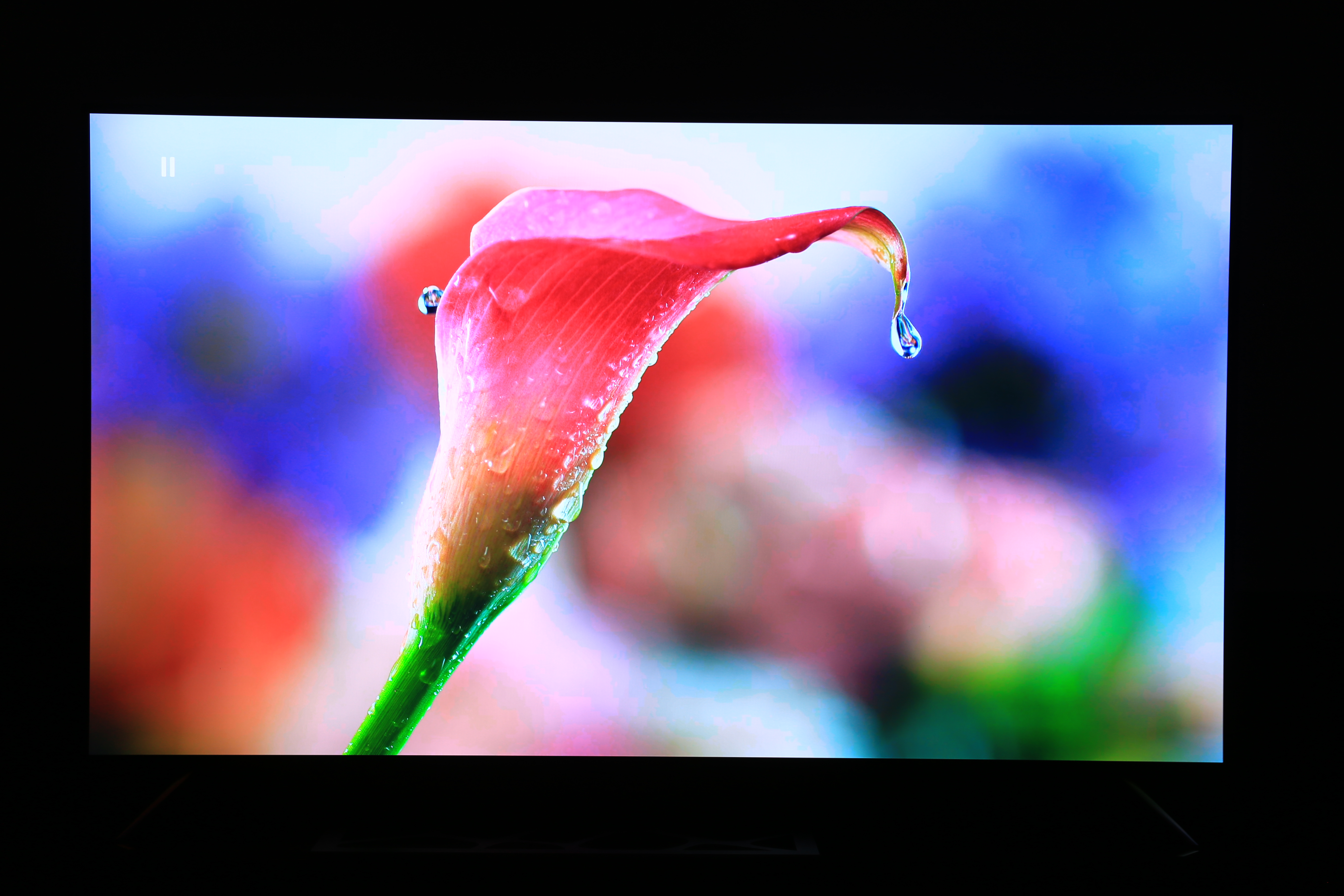 小米oled77寸,小米6oled和至尊版哪个好