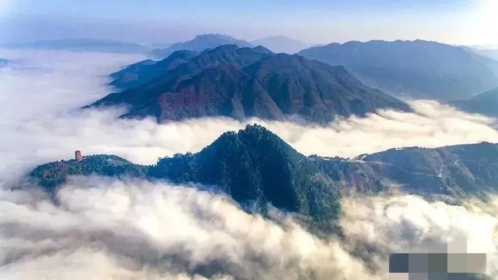 西乡县茶叶镇樱桃采摘,陕西汉中哪里可以摘樱桃