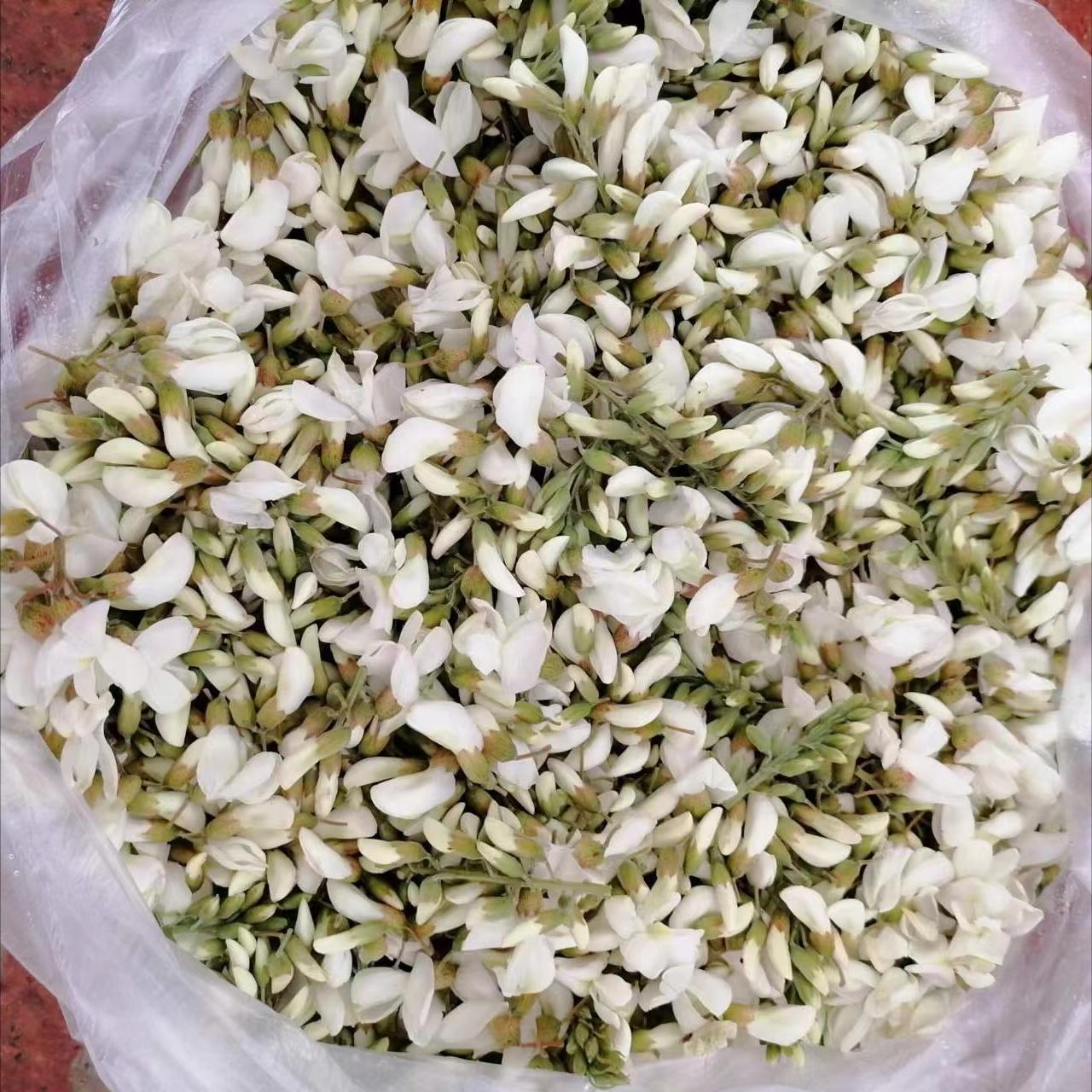 你有没有吃过槐花饼,吃过洋槐花烙的饼吗