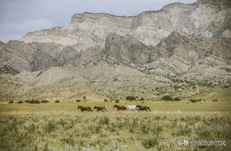 格鲁吉亚和俄罗斯有边境吗,格鲁吉亚和中国的关系有多好