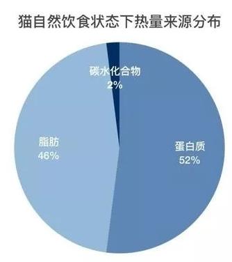 猫粮排行榜国产三大安全猫粮推荐,进口猫粮和国产猫粮的区别