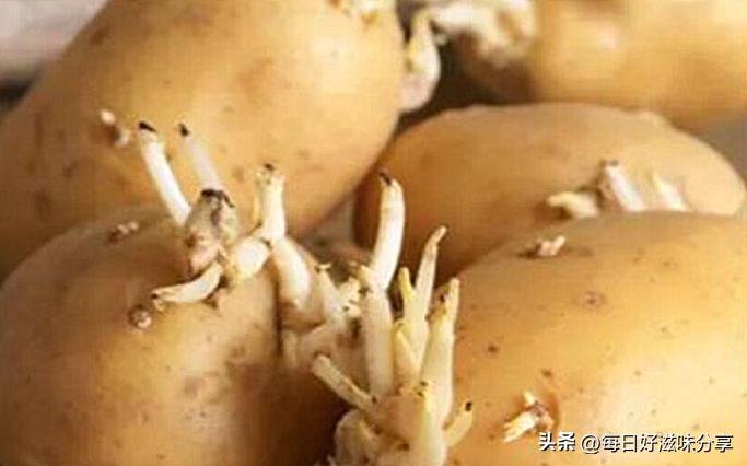 怎样处理发芽的土豆不会有毒,土豆发芽的应急处理方法是什么
