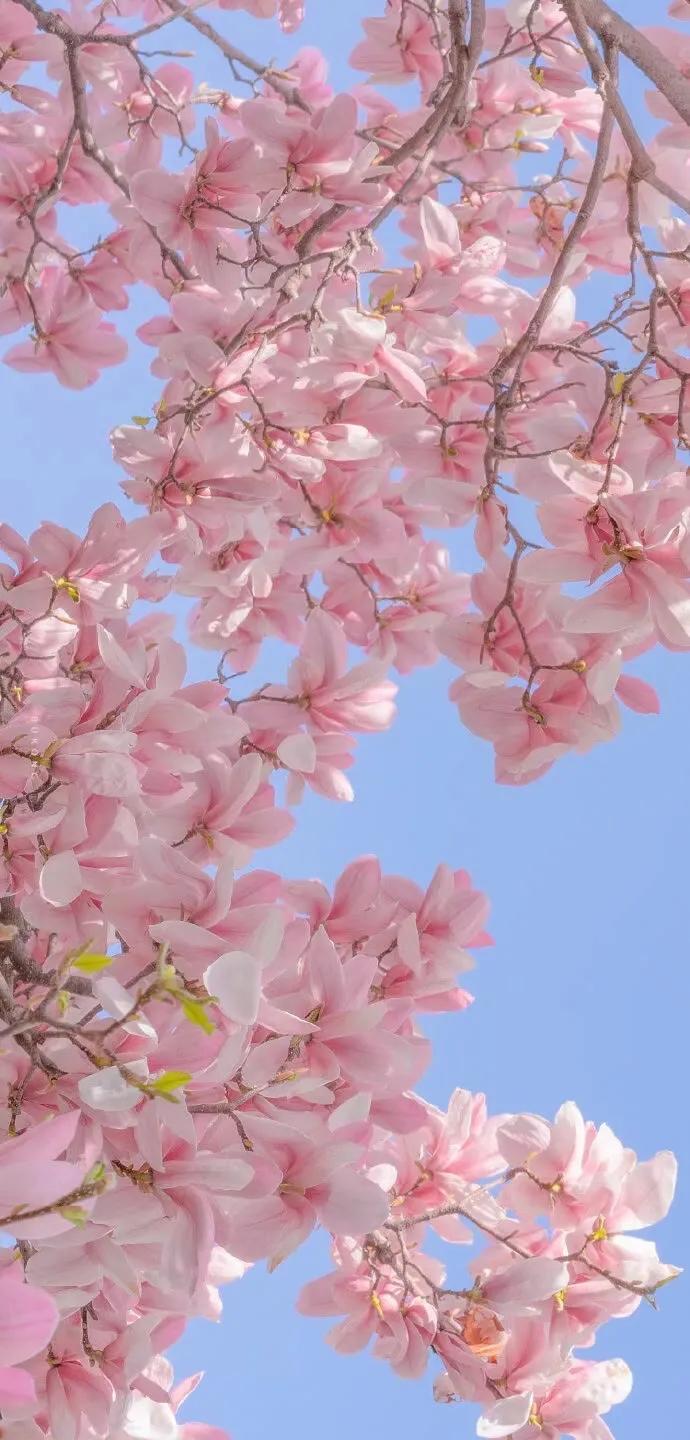 湛蓝的海水海滩风景高清壁纸,高清壁纸8k全屏无水印风景