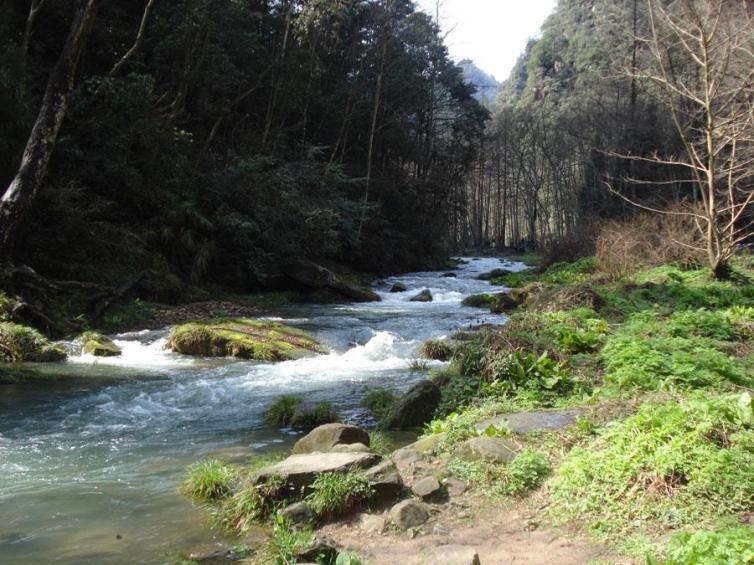 “情诗王子”李商隐与女道士的一场苦*爱涩**情