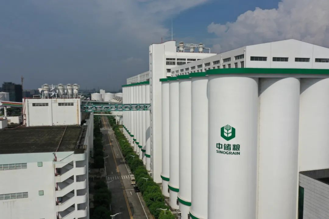 粮食工程专业,粮食工程技术与管理专业