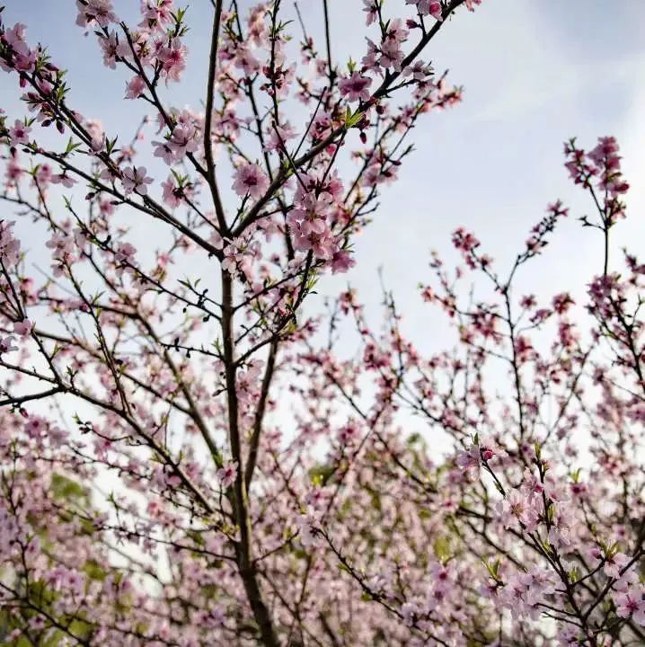 今日开通高铁,快上车流程