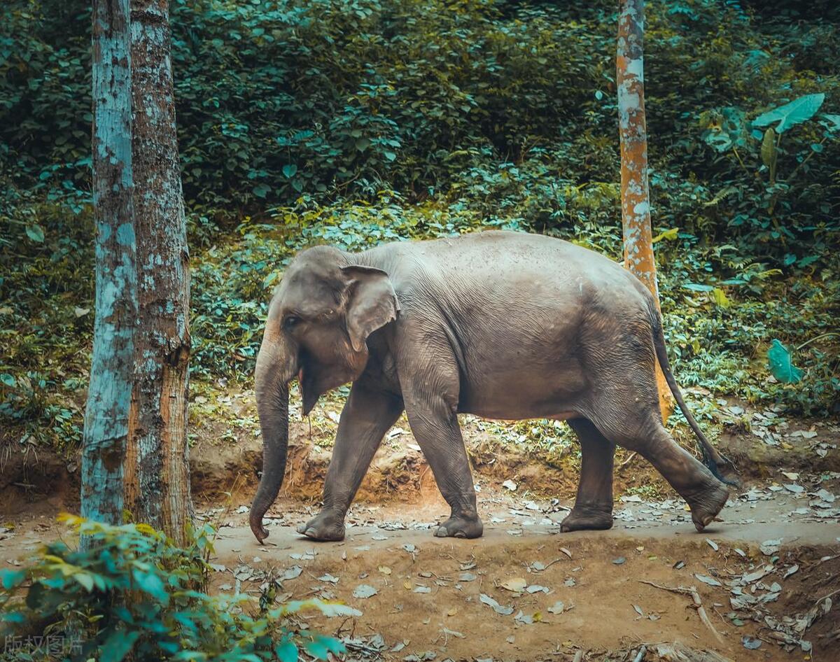云南的夏天生活,去云南玩有哪些经典的旅游线路呢