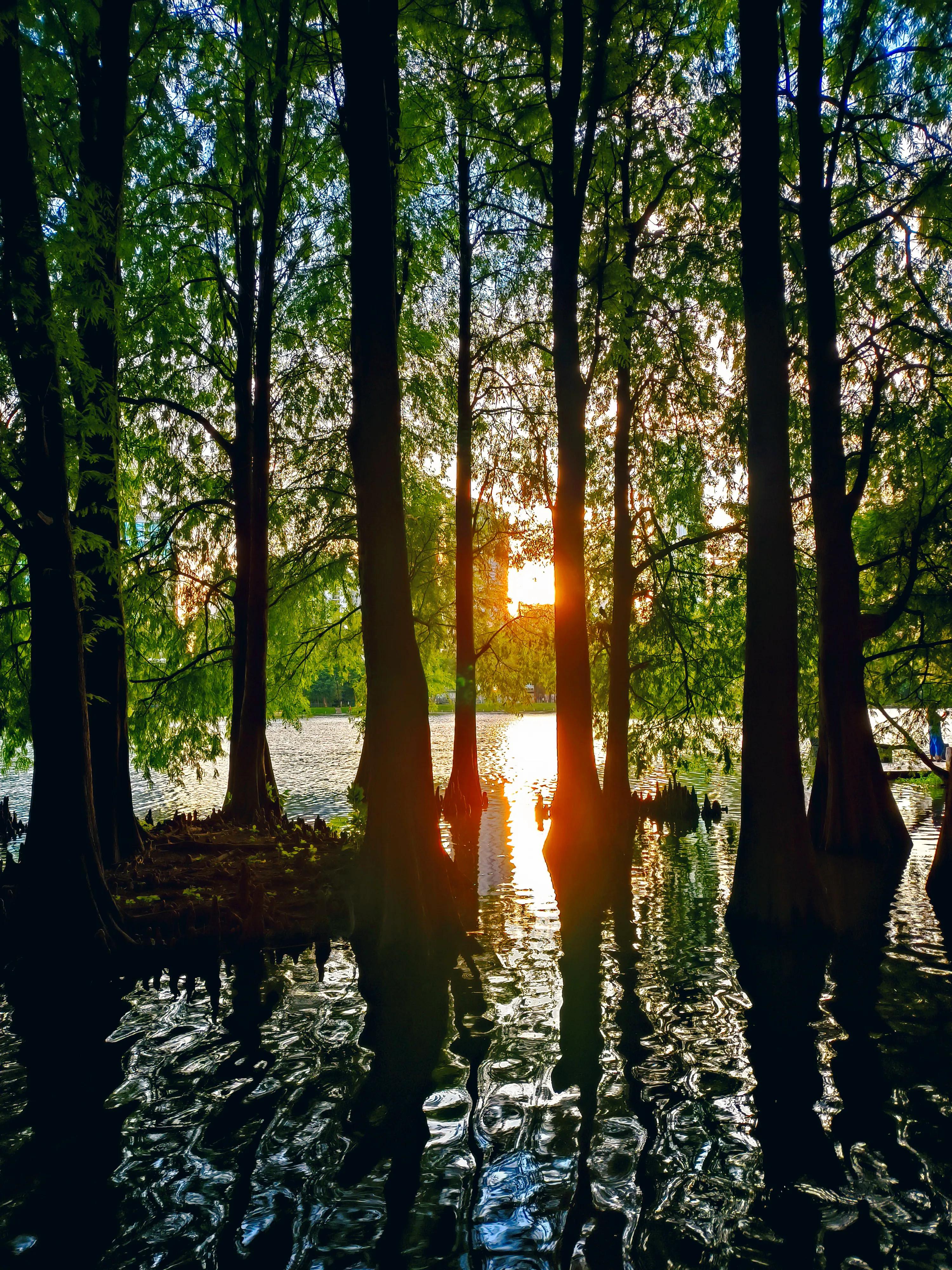 红米k50pro拍照参数,红米k50pro拍照样张