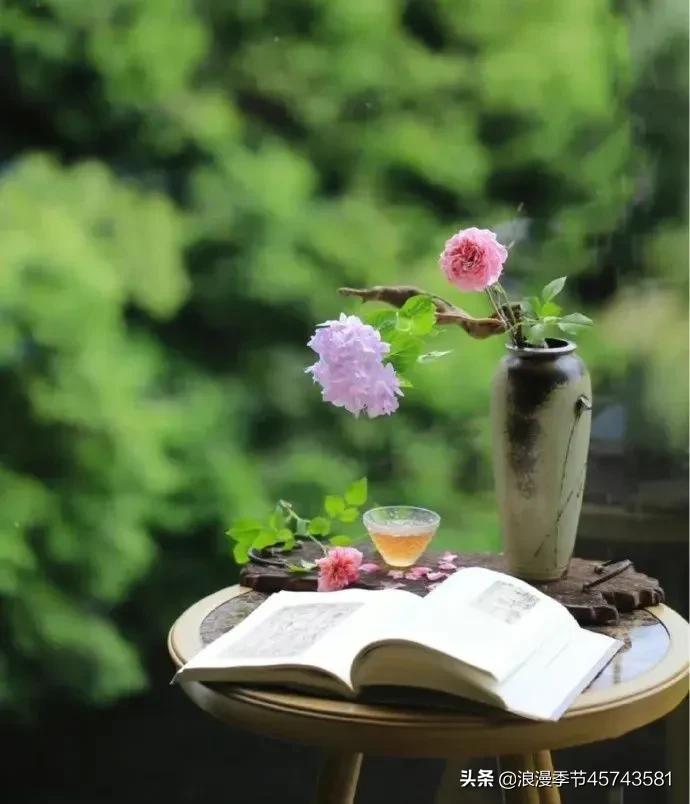 爱与慈悲散文随笔,心有慈悲美文