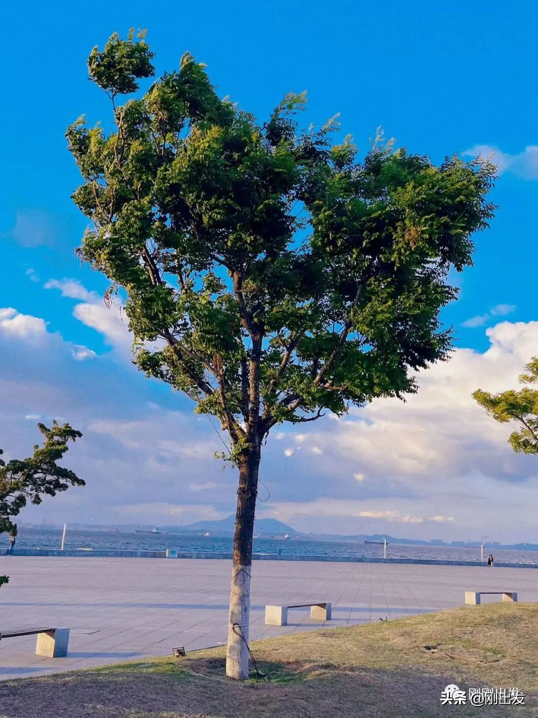 大连喷泉广场东港附近景点,大连东港音乐喷泉广场全景