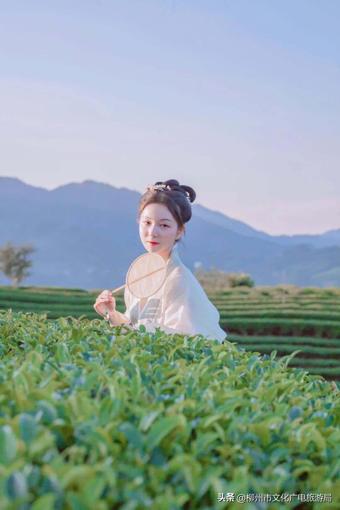 盛夏的风吹过茶园，穿过侗寨，在风情三江留恋不走~