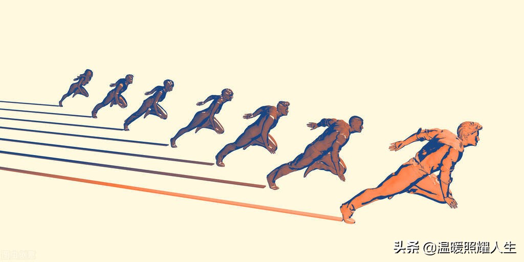 母亲节康乃馨100张照片,母亲节康乃馨的照片