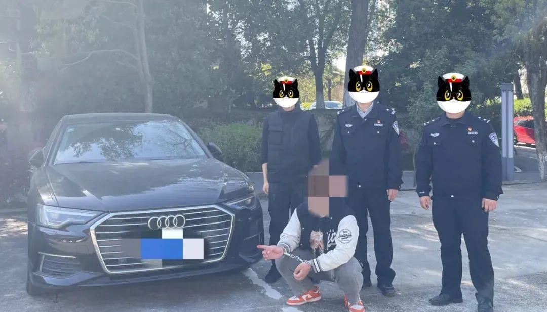 春雷行动盗窃,春雷行动破获盗窃案