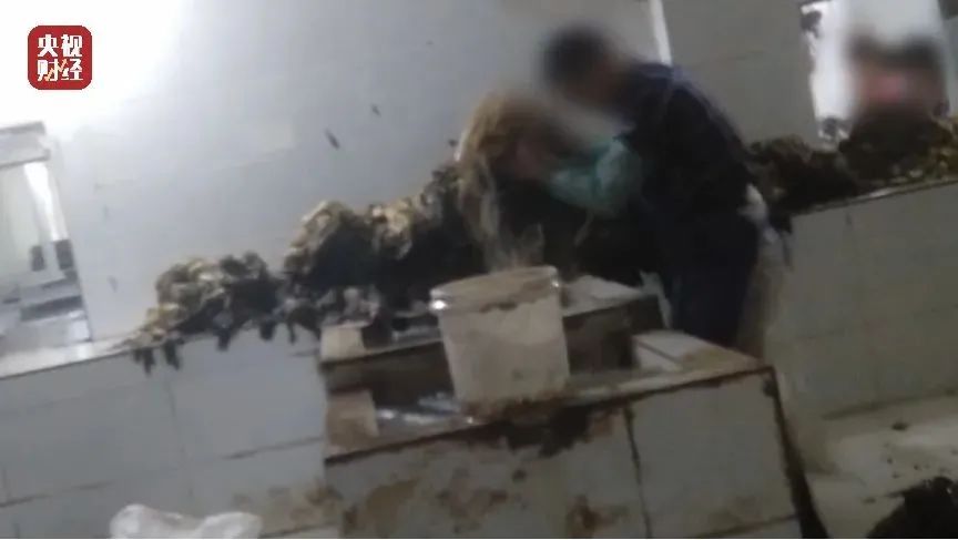 邓伦*税逃**，只是开始，更恶心的在后面