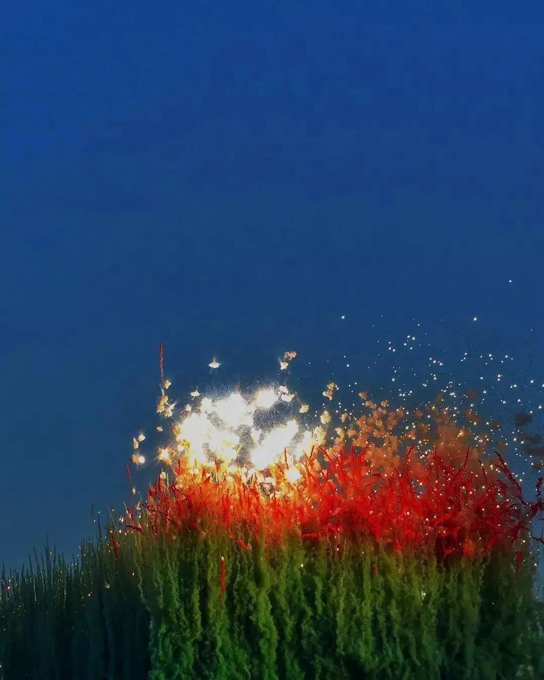 给奶奶“造”了一架天梯,靠*药火**爆炸作画,全球最会“玩火”的人