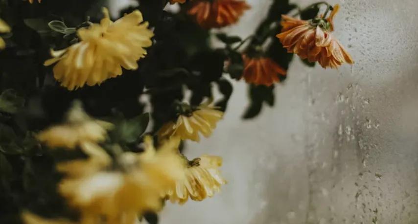 梁晓声人生一定要懂得取舍,梁晓声分享人生态度