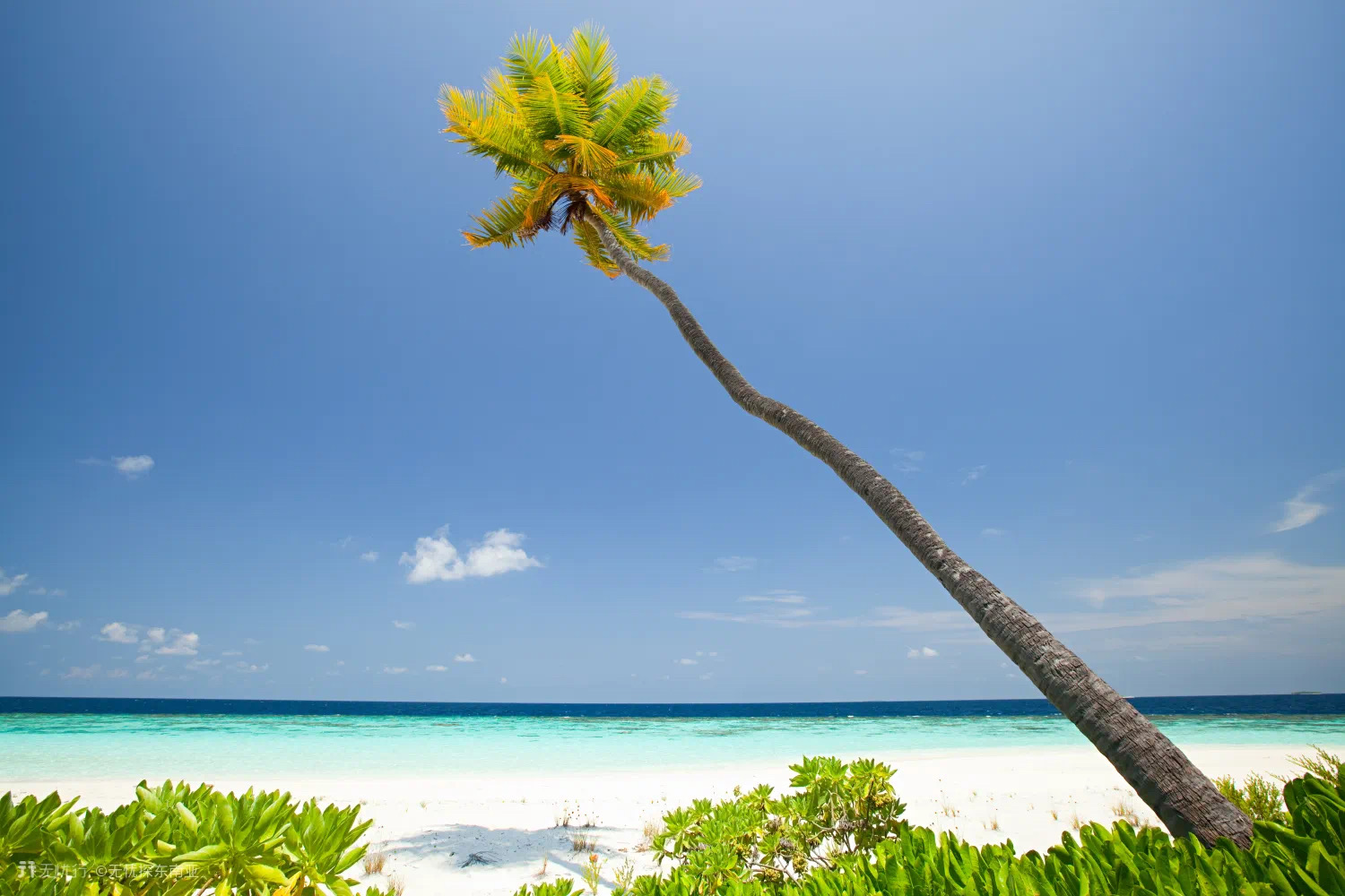 带你体验马尔代夫,马尔代夫白马庄园体验