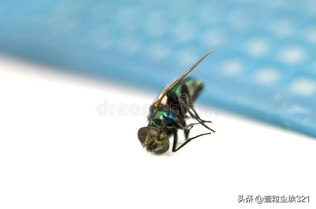 工作中遇到小人怎么办,工作当中遇到心机小人如何应对