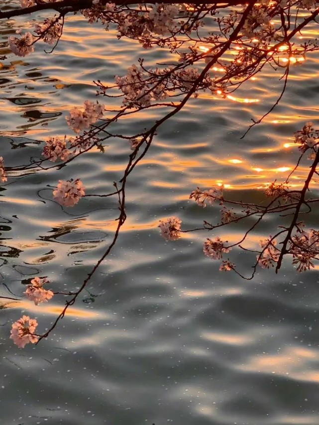 遇事果断不急不躁的三个星座,碰见挫折有点玻璃心的几个星座