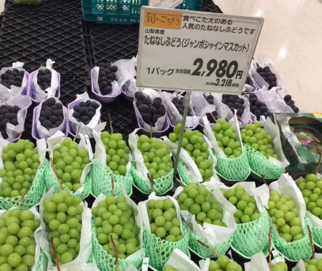 日本阳光玫瑰葡萄2000一斤,日本阳光玫瑰葡萄多少钱一斤