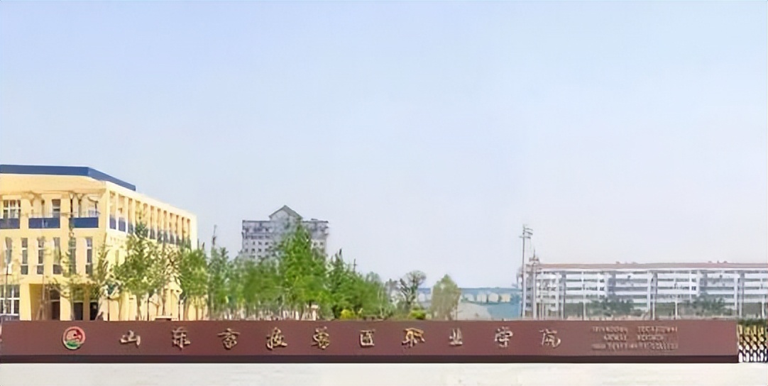 适合专科生最好的5个专业,选专科还有前途吗