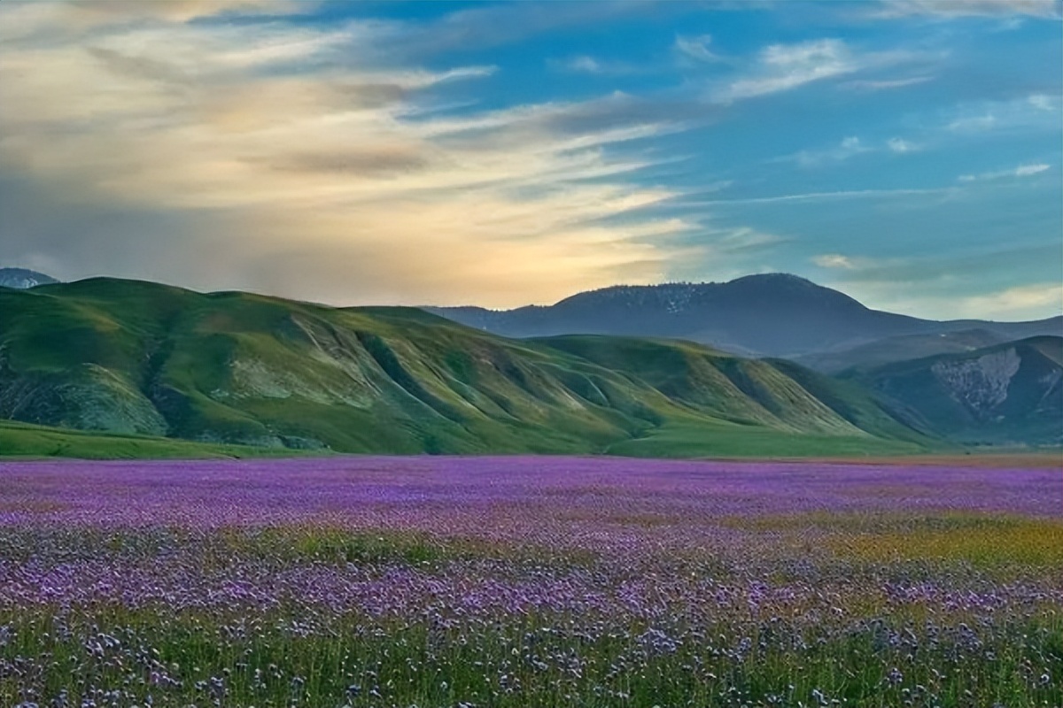 女人对男人过度精神依赖什么表现,当女人对你精神依赖是什么表现