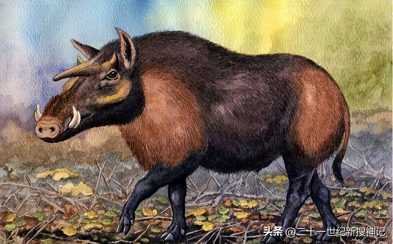 所有神兽代表什么象征意义,十二神兽寓意与象征