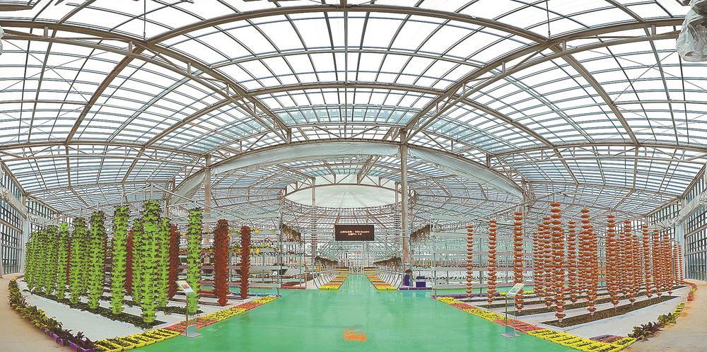 江苏滨海：乡村“农保姆”致富“连心桥”