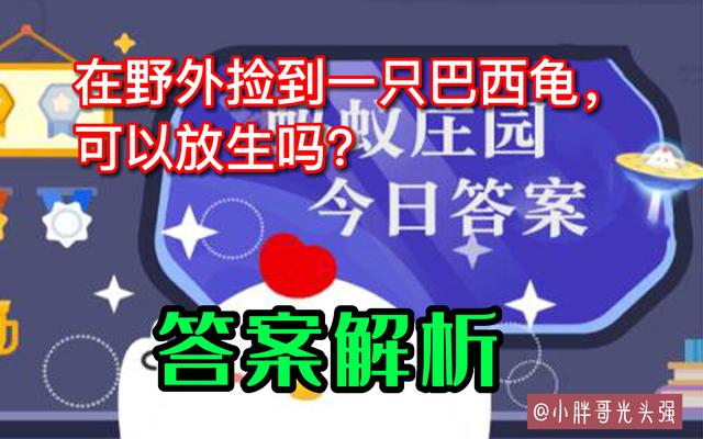 巴西龟放生的条件,巴西龟在哪里能放生