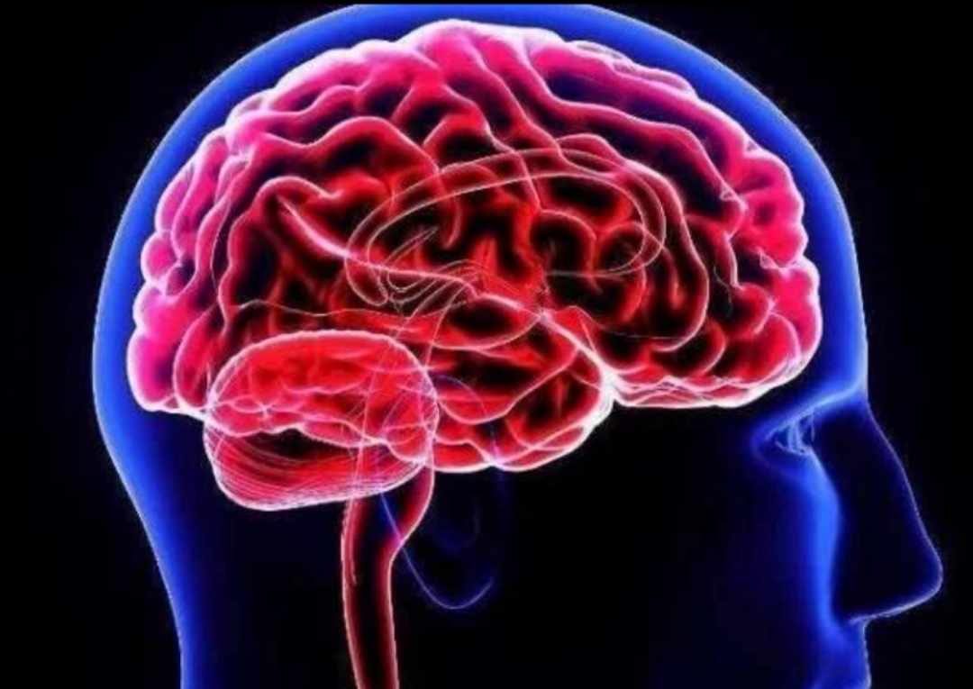 心血管疾病的药要一直吃吗,心血管病患者长期吃药有什么伤害