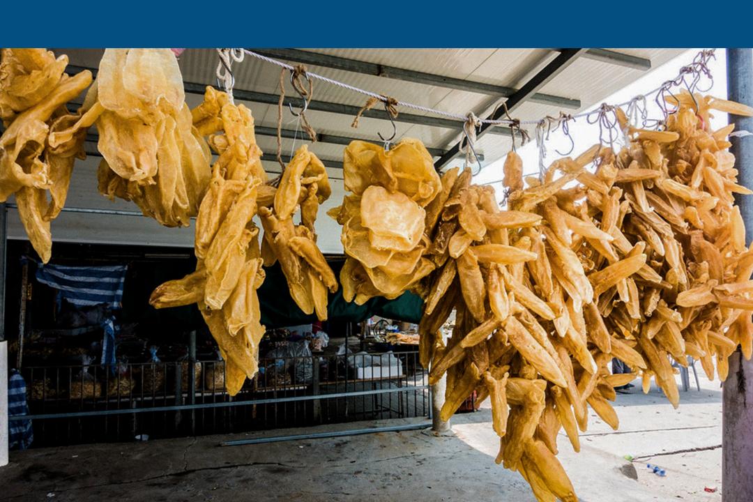 花胶非常难入口吗,花胶的内幕