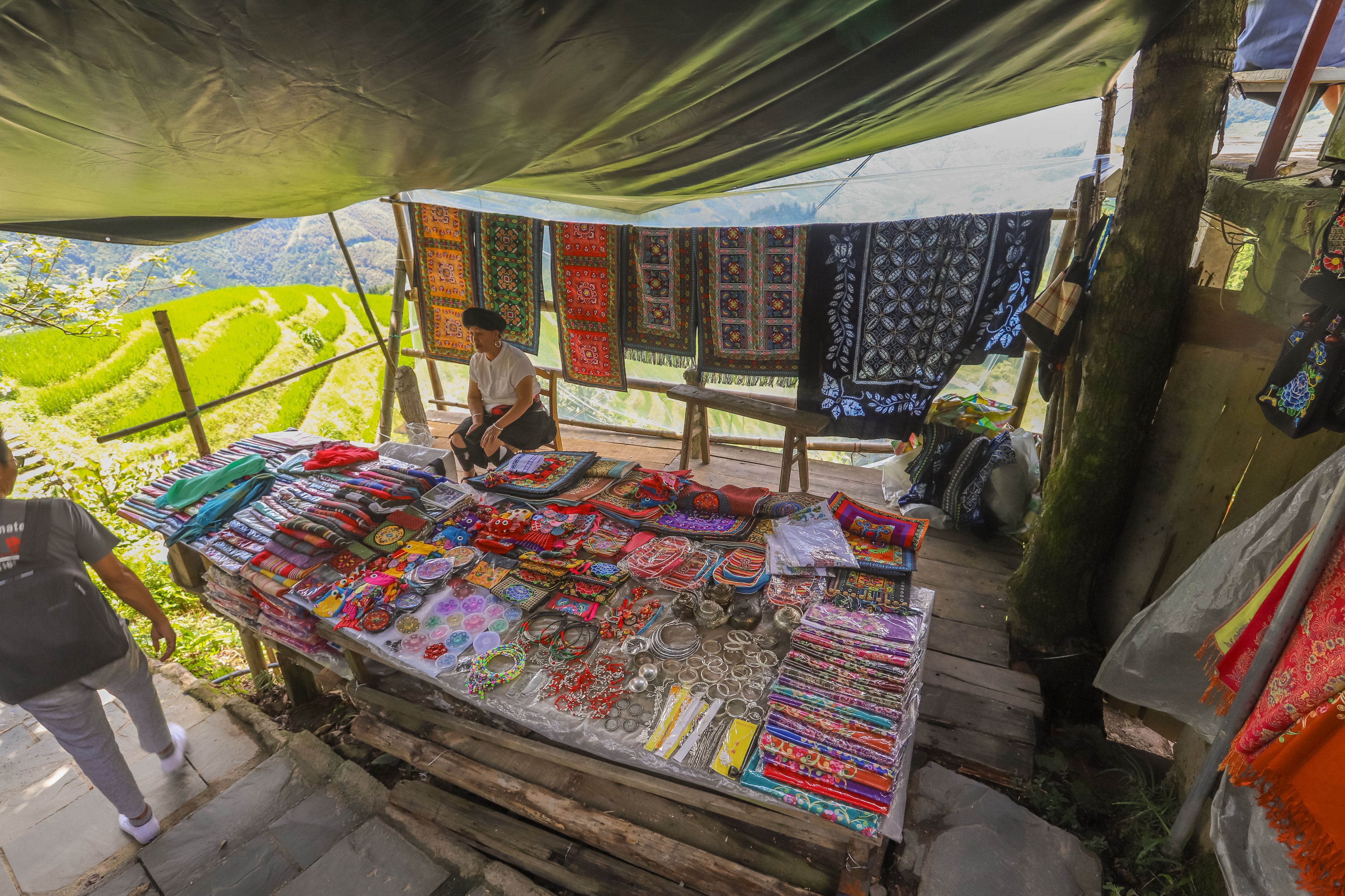 龙脊水稻梯田图片,龙脊水稻