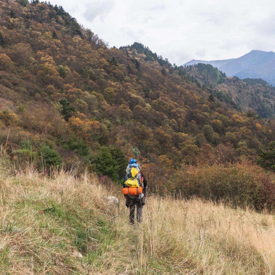 太白山是陕西最高点吗,秦岭最高峰太白山