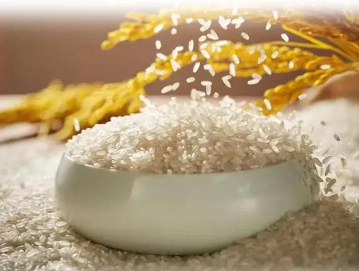 如何开一家黄焖鸡米饭店,一碗米饭的营销模式