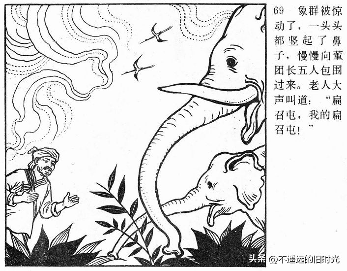 大象搬家,大象搬家河北